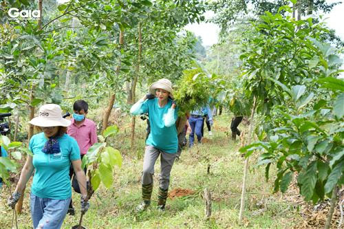 Sống đẹp góp xanh